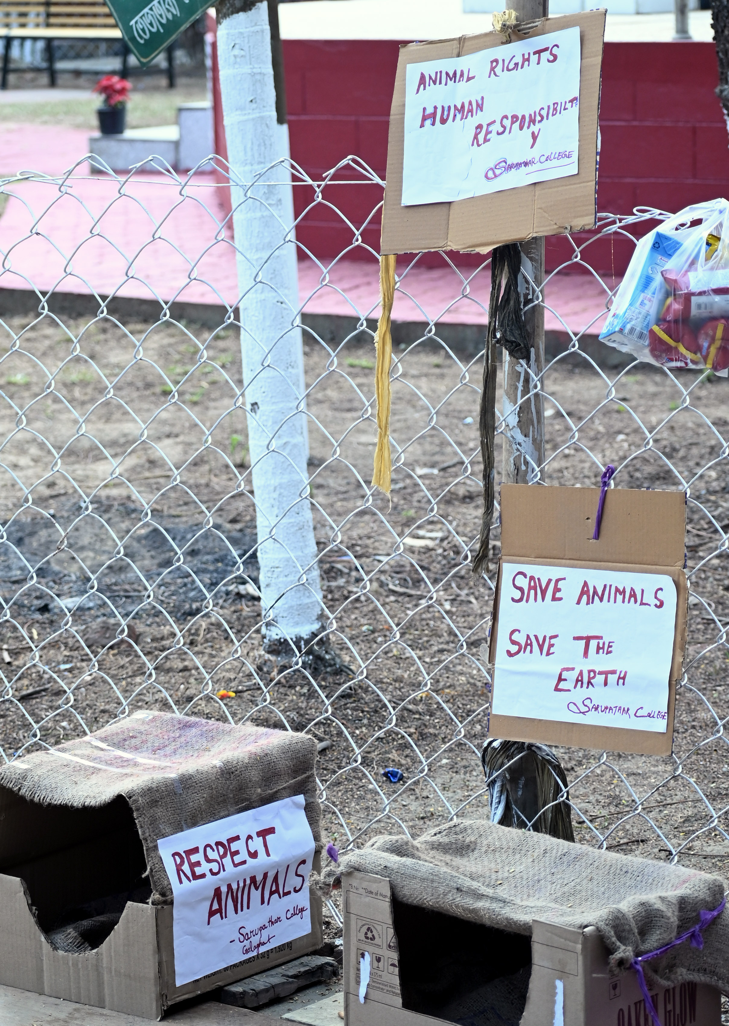 Youth Festival Gallery Image